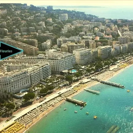 Ref Fleur - Palmes D'or * Cannes